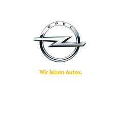 Foto BlueBox Referenz Opel